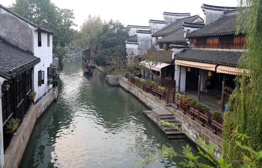 诱捕小浣熊